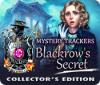 Mystery Trackers: Blackrow's Secret Collector's Edition המשחק
