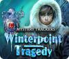 Mystery Trackers: Winterpoint Tragedy המשחק