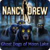 Nancy Drew: Ghost Dogs of Moon Lake המשחק