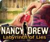 Nancy Drew: Labyrinth of Lies המשחק