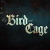 Of bird and cage game
