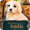 Precious Sophie המשחק
