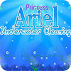 Princess Ariel Underwater Cleaning המשחק