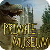 Private Museum המשחק