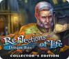Reflections of Life: Dream Box Collector's Edition המשחק
