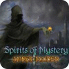 Spirits of Mystery: Amber Maiden Collector's Edition המשחק