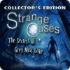 Strange Cases: The Secrets of Grey Mist Lake Collector's Edition המשחק