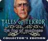 Tales of Terror: The Fog of Madness Collector's Edition המשחק