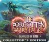 The Forgotten Fairy Tales: Canvases of Time Collector's Edition המשחק