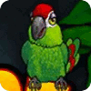 Thirsty Parrot המשחק