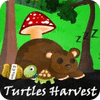 Turtles Harvest המשחק