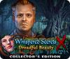 Whispered Secrets: Dreadful Beauty Collector's Edition המשחק