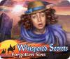 Whispered Secrets: Forgotten Sins המשחק