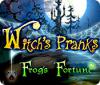 Witch's Pranks: Frog's Fortune המשחק