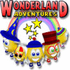 Wonderland Adventures המשחק