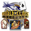 World Class Solitaire המשחק